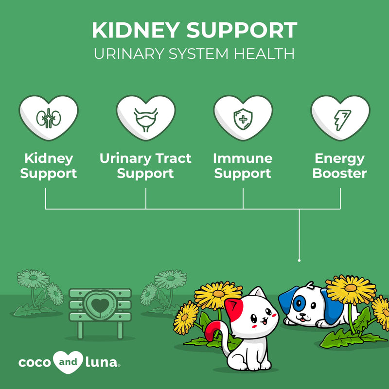 Kidney Support for Dogs and Cats - Normal Kidney Function, Dog and Cat Kidney Support - with Astragalus, Dandelion Root, Cranberry and Echinacea – 2oz (60ml) - BeesActive Australia
