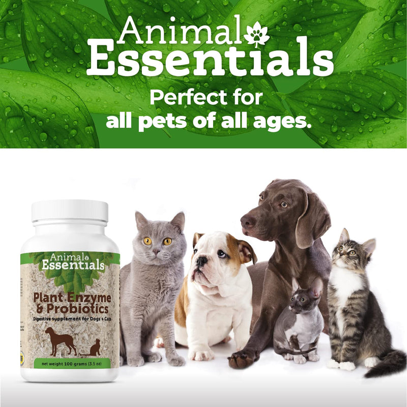 Animal Essentials Plant Enzyme & Probiotics Digestive Supplement for Dogs & Cats (Various Sizes) - Digestion Support 10.6 oz (300 grams) - BeesActive Australia