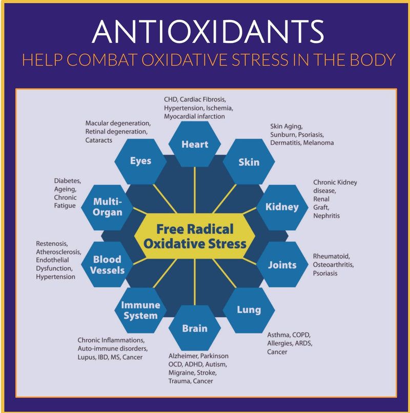 Alpha Lipoic Acid | Opti-Lip 300mg | 120 Caps| Super Antioxidant ALA |Liver| Skin|Brain|Ageing| Sugar Control| Double Action RALA SALA | Peripheral Neuropathy | UK Made | GMP Standard - BeesActive Australia