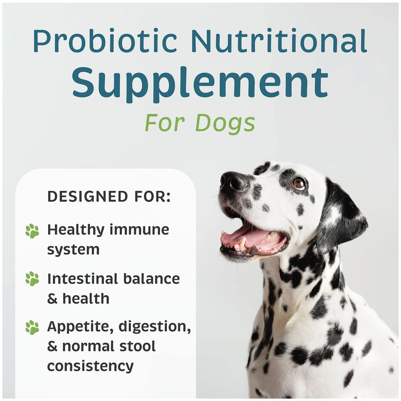 VetOne Advita Probiotic Nutritional Supplement for Dogs 1 Box, 30 Packets - BeesActive Australia