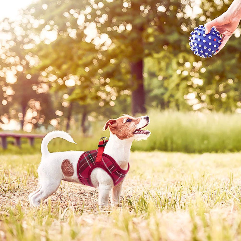 PUPTECK Soft Mesh Small Dog Harness with Leash - Basic Plaid Padded Step-in Chest Vest for Kitties, Puppy, Small Pets Medium(Chest:16"-20") Red - BeesActive Australia