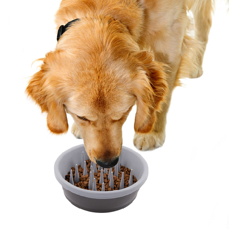 Dexas Slow Feeder Dog Bowl for Healthier Digestion, Teeth and Gums Gray 6 Cup Silicone Slow Feeder - BeesActive Australia