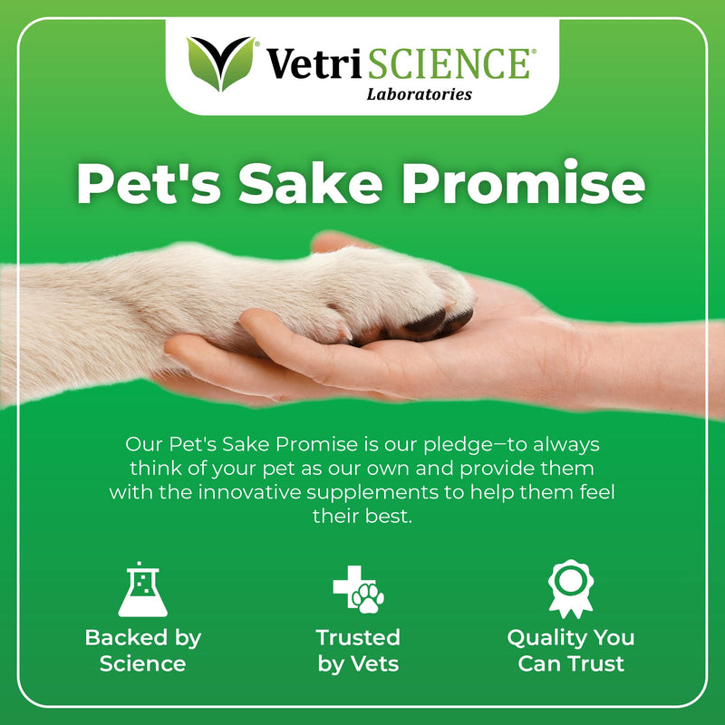 VETRISCIENCE Derma Strength Allergy, Immunity and Itchy Skin Relief Supplement for Dogs with Omega 3 6 9, 70 Yummy Soft Chews - Supports Healthy Skin, Coat Shine and Seasonal Dog Allergies - BeesActive Australia