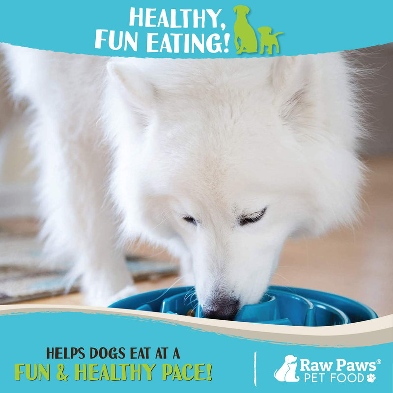 Raw Paws Slow Feeder Dog Bowl - Maze Dog Bowl to Slow Down Eating - Dog Bowl for Fast Eaters - Dog Puzzle Bowl for Slower Eating - Slow Drink Water Bowl for Dogs 1-count - BeesActive Australia