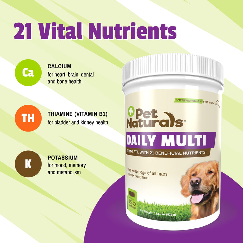 Pet Naturals Daily Multivitamin for Dogs - Yummy Chews with Amino Acids, and Antioxidants - Supports Energy, Metabolic Function and Pet Wellness 150 Chews - BeesActive Australia