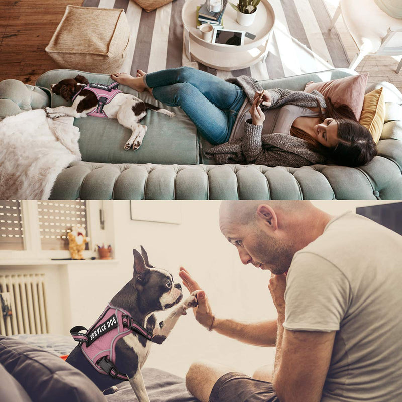 voopet Service Dog Harness, Easy On and Off Over Head Dog Vest Harness Fasten Quickly, Breathable and 3M Reflective Adjustable Pet Halters with Easy Control Handle for Small Medium Large Dogs X-Small (Pack of 1) Pink - BeesActive Australia