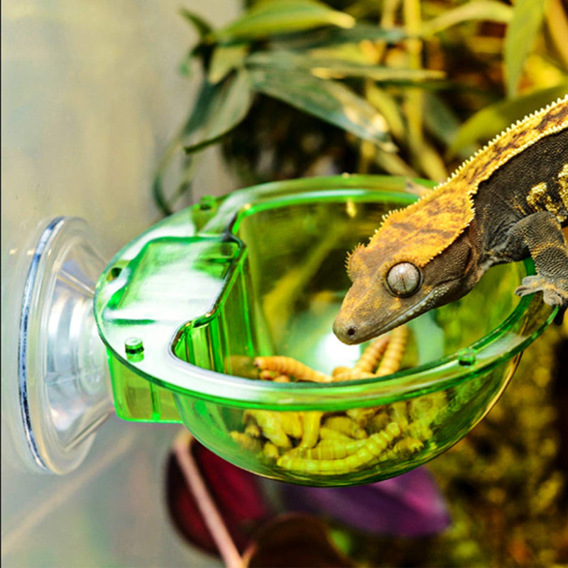 Suction Cup Reptile Feeder, Reptile Feeding Food Water Bowl Escape Proof Worm Dish Gecko Feeder Chameleon Bowl, Reptile Ledge Accessories Supplies for Lizard Bearded Dragon, 2 Pack - BeesActive Australia