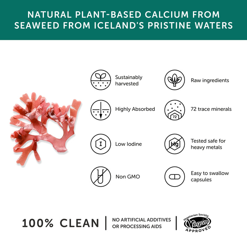 Calcium � Together Health � Seaweed-Based Calcium � 72 Trace Minerals � Vegan Friendly � Made in The UK � 60 Vegecaps Unflavoured 60 Count (Pack of 1) - BeesActive Australia
