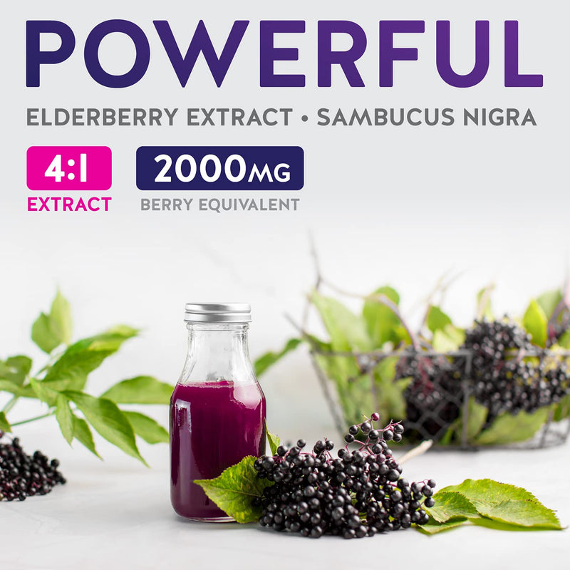 Elderberry 4:1 Extract Capsules (Non-GMO) Equivalent to 2,000mg Fresh Sambucus Black Elderberry Supplement - 60 Vegetarian Capsules (No Pills or Syrup) - BeesActive Australia