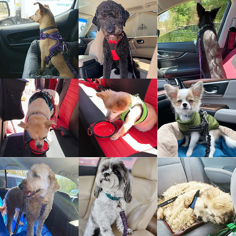 SlowTon Dog Car Seat Belt, Pet Safety Seatbelt Strap Adjustable Retractable Elastic Reflective for Vehicle Heavy Duty Tether for Dogs Cats with Collapsible Dog Bowl Portable Travel Set Black 1 Pack - BeesActive Australia