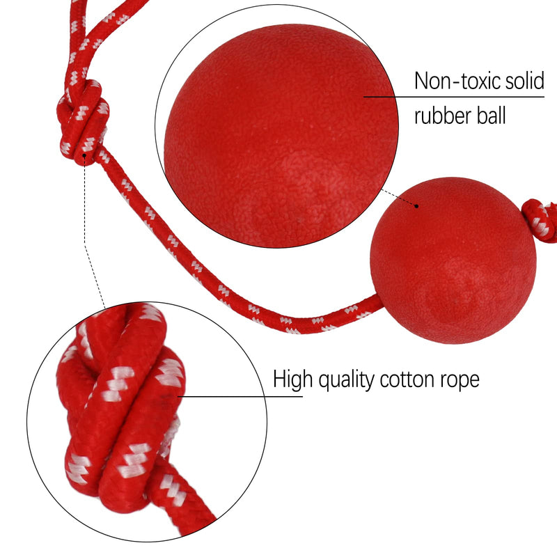 EDMISU Dog Leash Toys with Large Balls 2 Pack Dog Chew Toys Puppy Teething Toys Training Balls with Leash Exercise Toys for Large Medium Dogs - BeesActive Australia