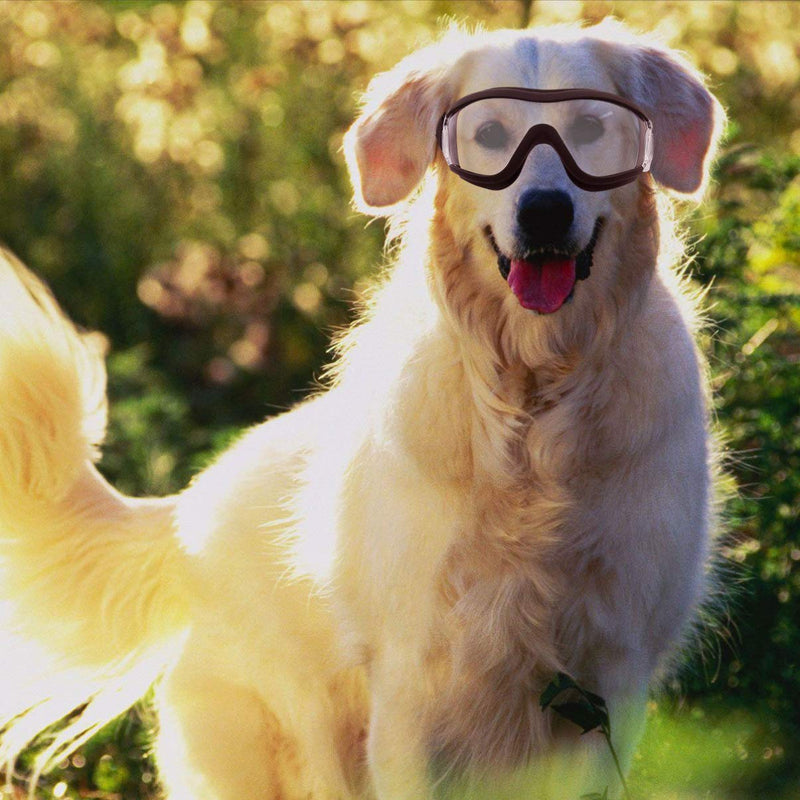 ULTECHNOVO Pet Goggles Eye Protective Glasses Anti-UV,Windproof,Waterproof Eye Goggles for Medium-Sized or Large Dog (Transparent) - BeesActive Australia