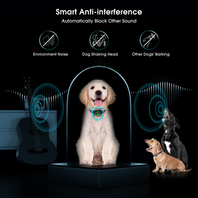 Bark Collar for Large Medium Small Dogs, Birkhey Dog Bark Collar, Rechargeable Automatic Bark Shock Collar, Anti Barking Collar with Beep Vibrating Shock, 5 Sensitivity for Barking Control & Training - BeesActive Australia