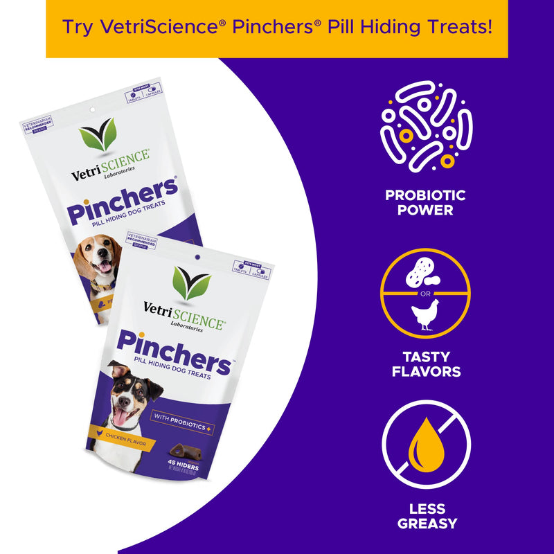 VetriScience Canine Plus MultiVitamin for Dogs - Vet Recommended Vitamin Supplement - Supports Mood, Skin, Coat, Liver Function 90 Tablets - BeesActive Australia