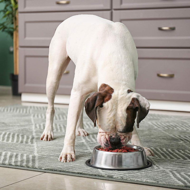 INONE Stainless Steel Dog Bowl with Rubber Base for Food and Water, Pet Food Container, Perfect Dog Bowls Choice for Small/Medium/Large Dogs or Cats (2 Pack) 16oz 2pcs - BeesActive Australia