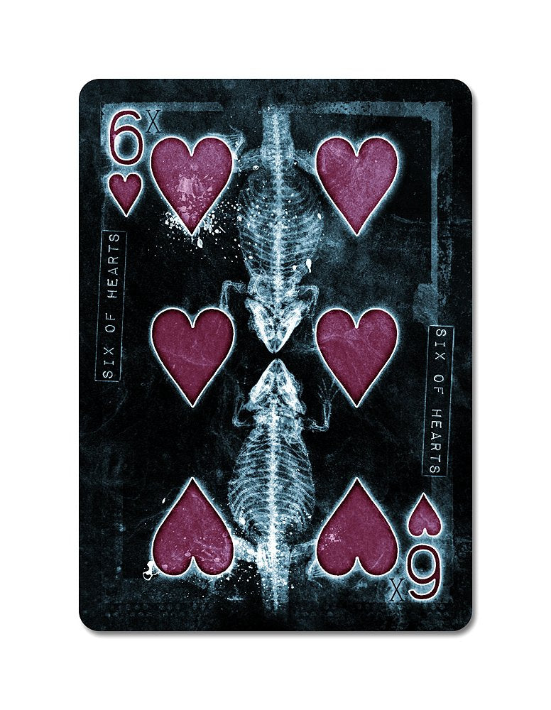 Karnival X-treme Playing Cards - BeesActive Australia