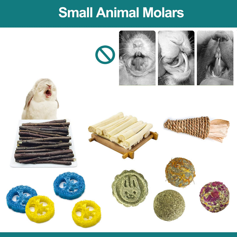 Rabbit Toys, Bunny Tunnels and Tubes with Chew Toys for Grinding Teeth Apple Sticks Bamboo Carrot Loofah and Grass Ball for Rabbit Guinea Pig Chinchilla Ferret Rat - BeesActive Australia