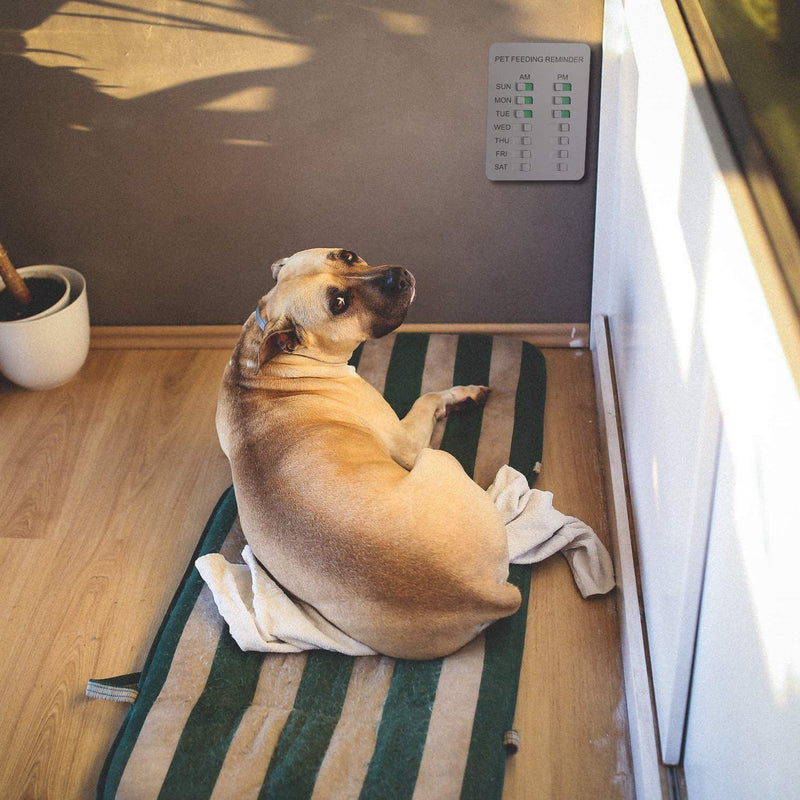 YARKOR Dog Feeding Reminder Magnetic Reminder Sticker,AM/PM Daily Indication Chart Feed Your Pets,Fridge Magnets and Double Sided Tape - Prevent Overfeeding or Obesity Silver - BeesActive Australia