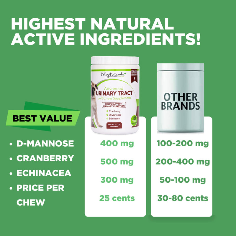 Dog UTI Prevention - Incontinence, Bladder, Kidney & Immune System Support - Cranberry Pills for Dogs - D-Mannose & Echinacea - Made in USA, Chicken, All Natural - 120 Grain Free Soft Chews - BeesActive Australia