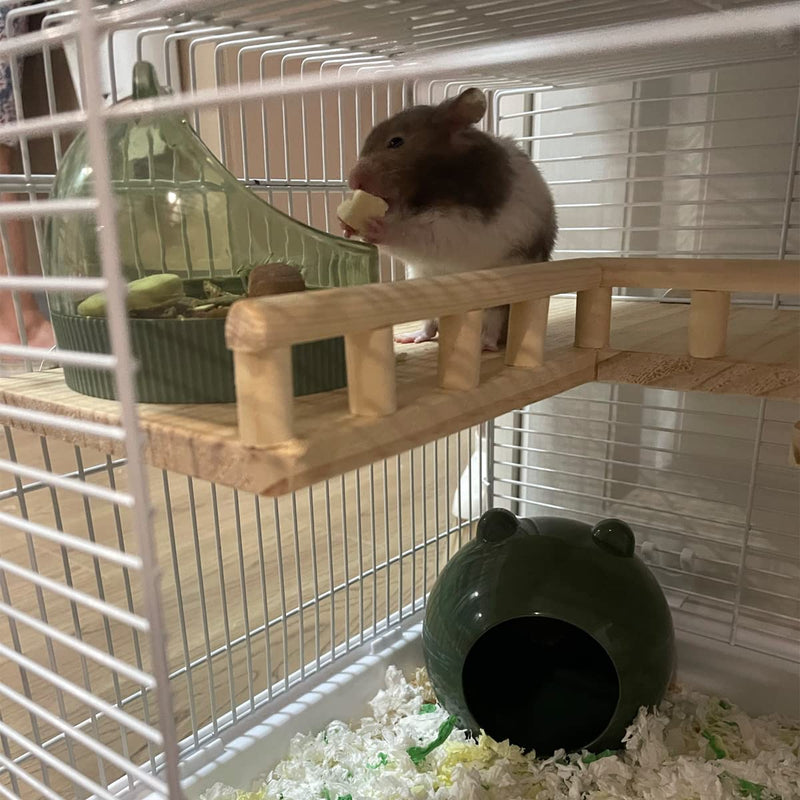 Marchul Hamster Food Bowl Feeding & Water Bowls for Dwarf Hamster Syrian Hamsters Gerbils Green - BeesActive Australia