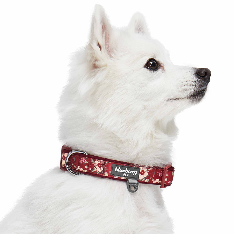 Blueberry Pet 10 Patterns Soft & Comfy Flower Print Neoprene Padded Dog Collars Medium Tuscan Red - BeesActive Australia