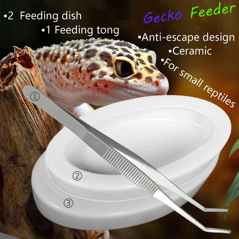 Fuongee Reptile Worm Feeding Dish Bowls Gecko Lizard Feeder Dish with Feeding Tong, 2 Bowls and 1 Feeding Tong, Ceramic Mini Size - BeesActive Australia