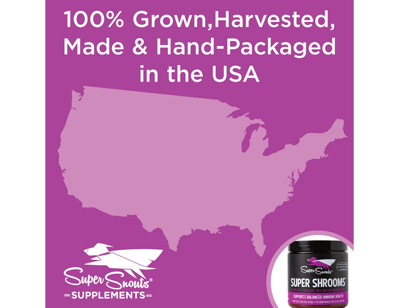 Super Snouts Super Shrooms Mushroom Immune Support for Dogs and Cats - Made in USA Organic Non-GMO, Immune Health 5.28 oz - BeesActive Australia