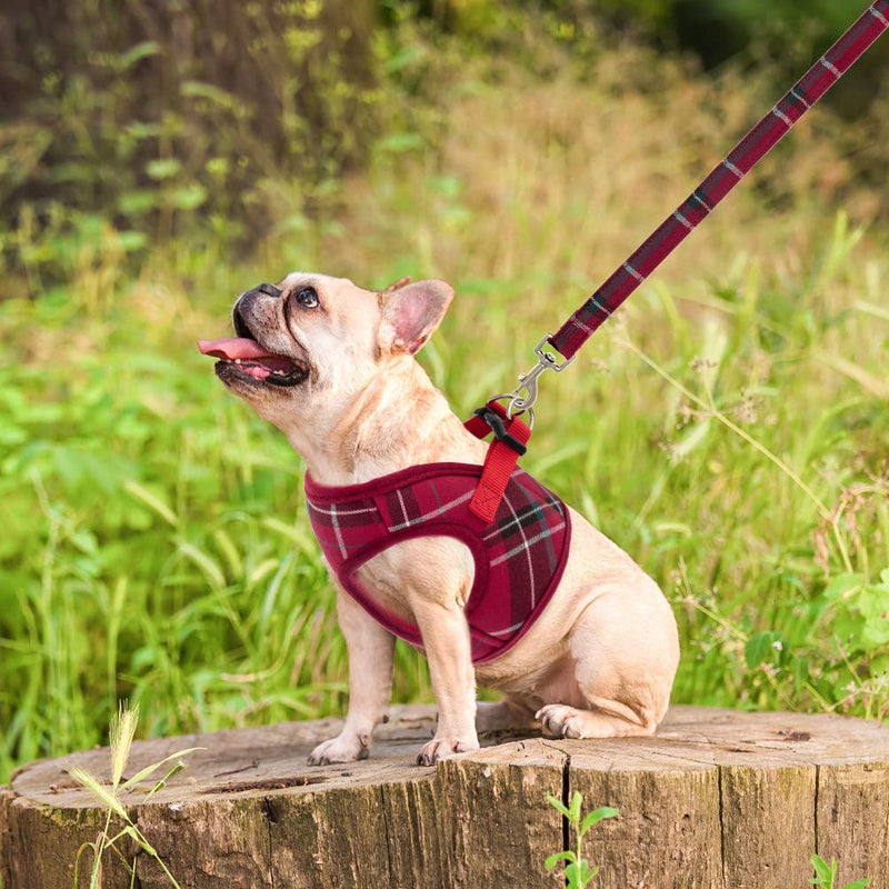 PUPTECK Soft Mesh Small Dog Harness with Leash - Basic Plaid Padded Step-in Chest Vest for Kitties, Puppy, Small Pets Medium(Chest:16"-20") Red - BeesActive Australia