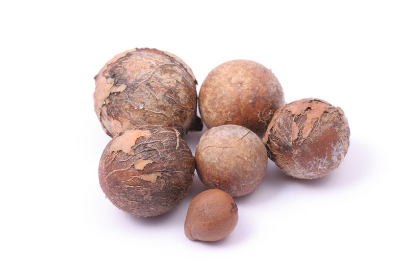US Organic Tamanu Oil, Certified Organ Pure Virgin Cold Pressed Unrefined, Best for Nail Fungus, Acne, Stretch Mark, Eczema, Hair loss, Psoriasis, Sunburn, Athlete Foot_Improved packaging_2oz 2 Fl Oz - BeesActive Australia