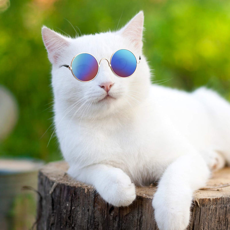 6 Pieces Funny Cute Cat Small Dog Sunglasses Classic Retro Circular Metal Prince Sunglasses Eye-wear Photos Props Accessories Cosplay Glasses Black and Mix Reflective Color - BeesActive Australia
