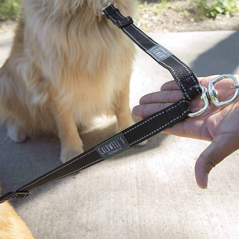 Caldwell's Pet Supply Co. No Tangle Dog Leash Coupler, Double Dog Walker - Trainer Leash - Two Dogs Adjustable Splitter Lead Large - BeesActive Australia