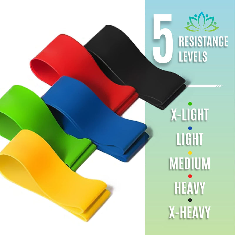 Serenily Resistance Bands, Exercise Band - Workout Bands for women butt & legs. Training Fitness bands for Home gym workout Equipment. Latex Loop Bands with Instructions & Carry Bag Gym bands Set of 5 - BeesActive Australia