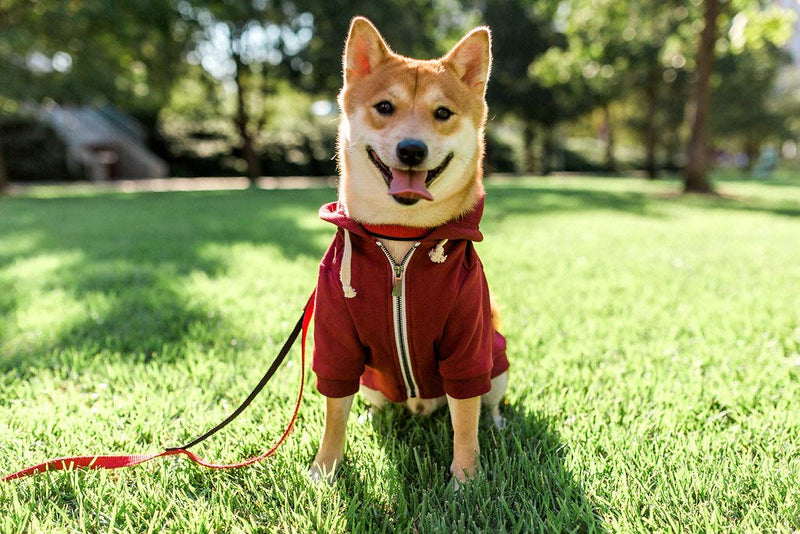 Adventure Zip Up Maroon Red Dog Hoodie with Hook & Loop Pockets and Adjustable Drawstring Hood - Available in Extra Small to Extra Large. Comfortable & Versatile Dog Hoodies by Ellie XXL - BeesActive Australia