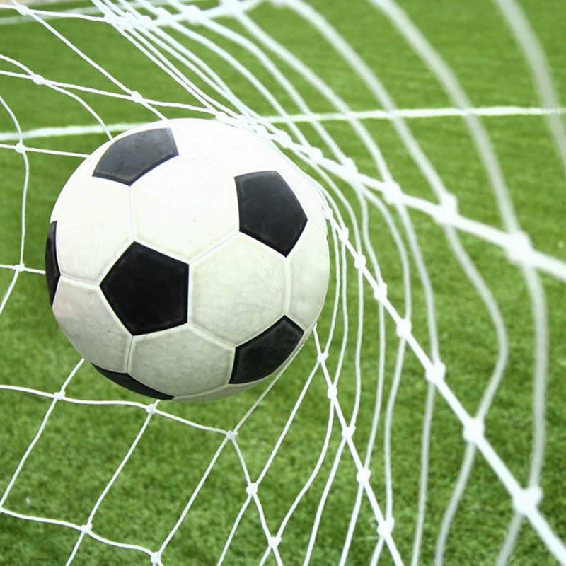 Soccer Goal Net Football Polyethylene Training Nets Full Size, Post Not Included 6 x 4FT-2.5mm - BeesActive Australia