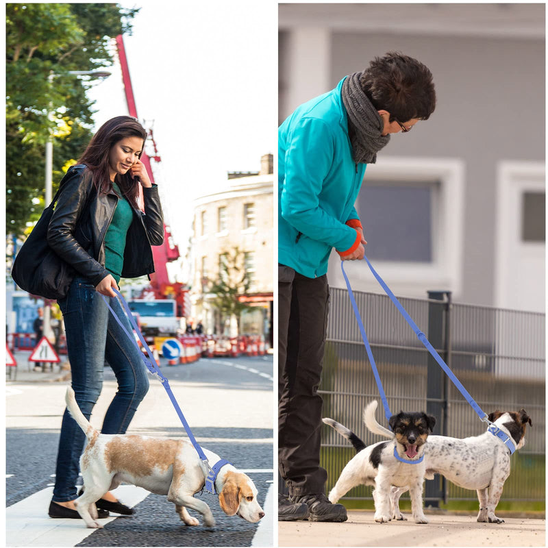 Wisedog Waterproof Standard Dog Leashes with 2 Hooks, 5 ft/ 6 ft Lengths, Adjustable for Traffic Control Safety, for Small, Medium & Large Dogs Walking L(6 ft, 0.75" wide) Blue - BeesActive Australia