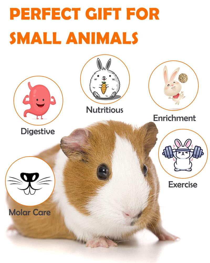 Sofier Hamster Toys Guinea Pig Toys Hamster Accessories Natural Chews for Teeth Rabbit Bunny Rat Chinchilla Wood Hamster Hideout Apple Wood Timothy Hay Sticks - BeesActive Australia