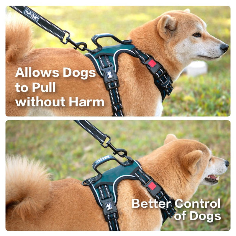 PoyPet No Pull Dog Harness, No Choke Front Clip Reflective Dog Vest with Padded Vertical Handle, 3 Leash Attachments for Small Medium Large Dogs Tumalo Teal - BeesActive Australia