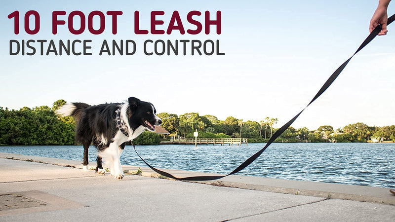 Leash Boss 3/4 Inch - 1 Inch | Training, Walking, Camping Lead for Medium and Large Dogs (10 - 15 Foot) 1" x 10 FT Black/Red/Grey - BeesActive Australia