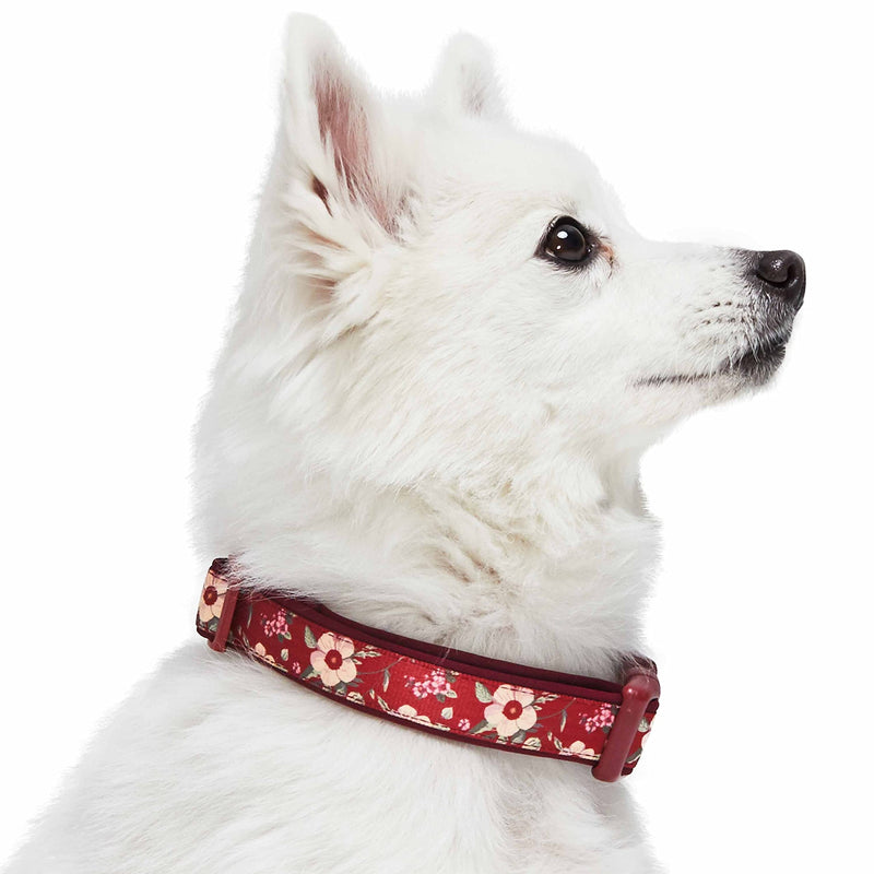 Blueberry Pet 10 Patterns Soft & Comfy Flower Print Neoprene Padded Dog Collars Medium Tuscan Red - BeesActive Australia