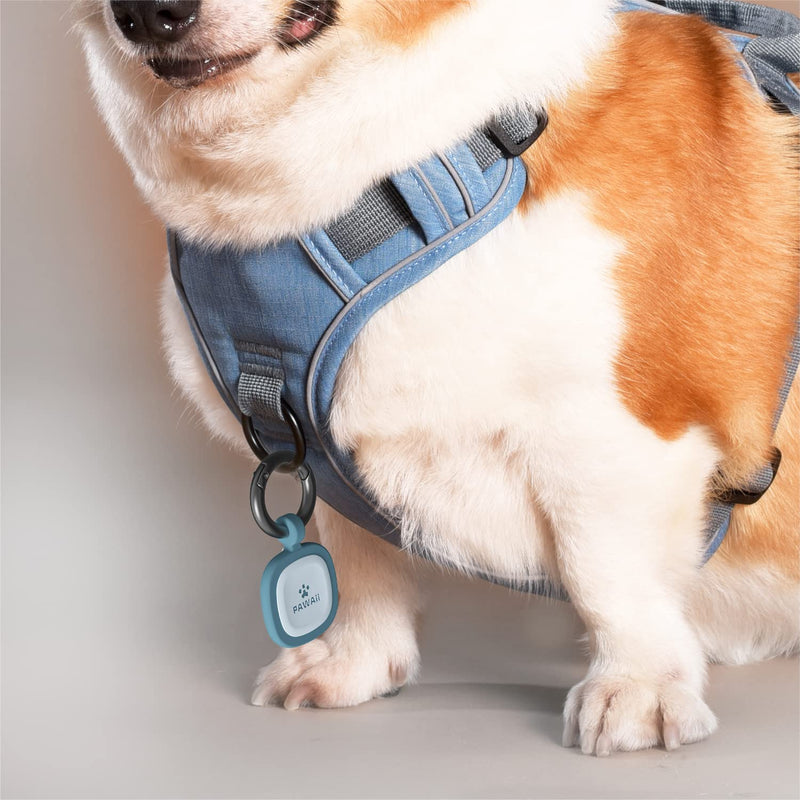 Pawaii QR Code Pet ID Tag, Dog Tag with QR Code, Silent Silicone Dog ID Tag, Modifiable Pet Online Profile, Free Online Pet Page Emergency Contact Deep Sea Blue - BeesActive Australia