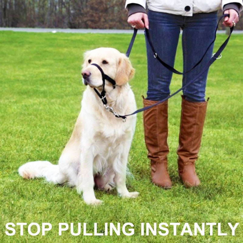Dog Head Collar, No Pull Training Tool for Dogs on Walks, Includes Free Training Guide, 5 XL Black - BeesActive Australia