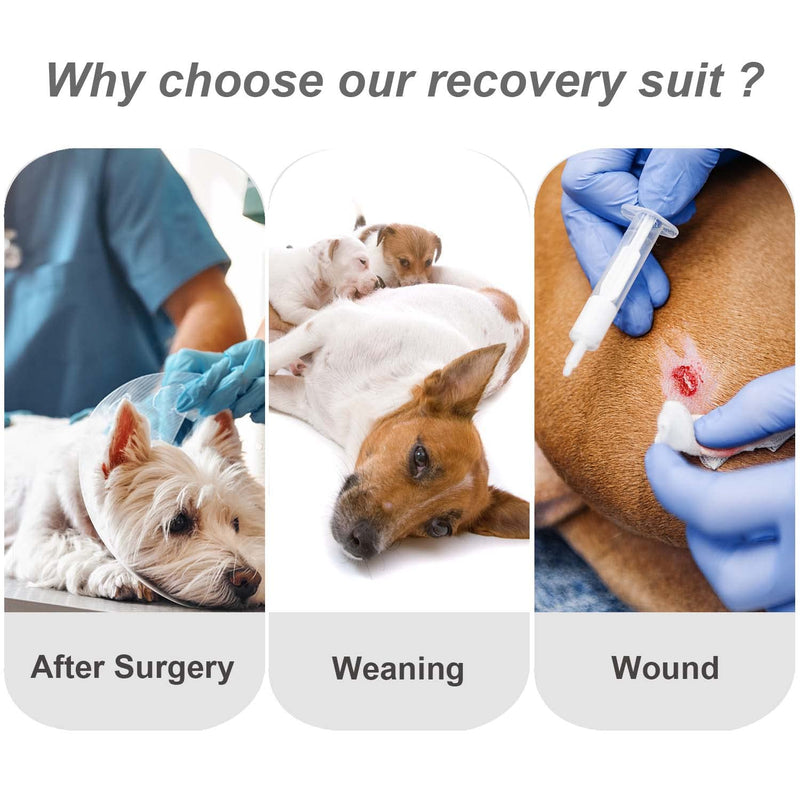 Due Felice Recovery Suit for Female Male Dogs Surgical Onesie After Surgery Wear Pet Cone E-Collar Alternative X-Large Leopard - BeesActive Australia
