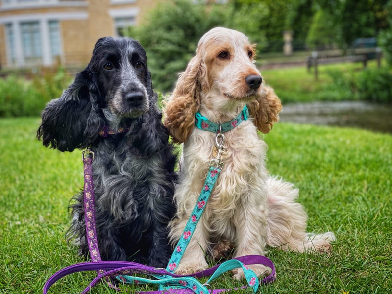 YUDOTE Martingale Dog Collars with Quick Snap Buckle in Floral Print, Flower Nylon No Pull Collars for Female Male Large Medium Small Dogs Large (Neck 15"-19") Green - BeesActive Australia