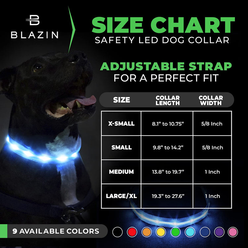 Blazin LED Light Up Dog Collar - 1,000 Feet of Visibility - Brightest for Night Safety - USB Rechargeable with Water Resistant Glowing Dog Collar Light Medium (Pack of 1) Pink - BeesActive Australia