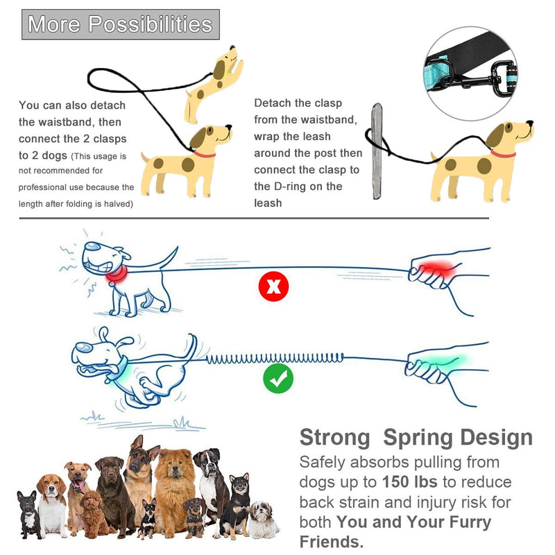 PHILORN Hands Free Dog Leash for Running, Jogging | Reflective Stitching, Adjustable Waist Belt(24"-47"), Phone Pouch, Shock Absorbing Dual Handle Bungee(47"-67") for Up to 150lbs Large Dog Blue - BeesActive Australia