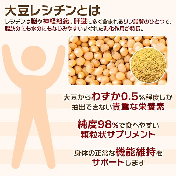 NICHIGA Soy Lecithin Granules Soy Lecithin 120g Phosphatidylcholine Phospholipid Vegetable Lecithin Soybean-derived [05] - BeesActive Australia