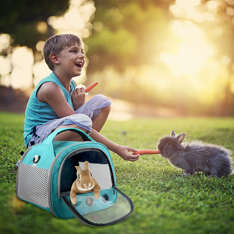 Small Pet Carrier Bag with Mat Guinea Pig Travel Carrier with Strap Portable Breathable Rabbit Carrier Outdoor Pet Bag for Squirrel Bunny Hedgehog Guinea Pig Cyan - BeesActive Australia