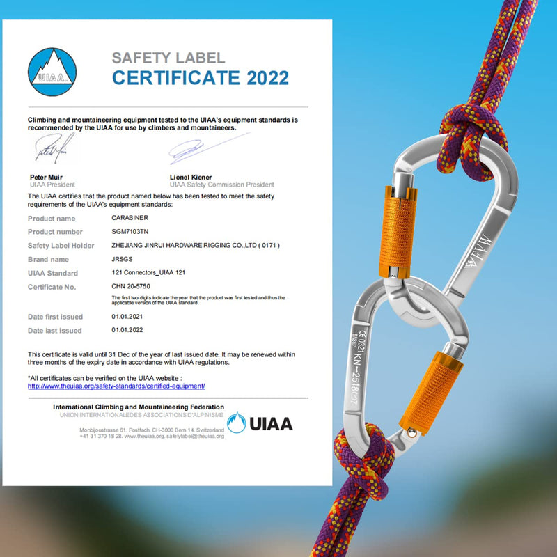 FVW Auto Locking Rock Climbing Carabiner Clips,Professional 25KN (5620 lbs) Heavy Duty Caribeaners for Rappelling Swing Rescue & Gym etc, Large Carabiners, D-Shaped silver*2 - BeesActive Australia