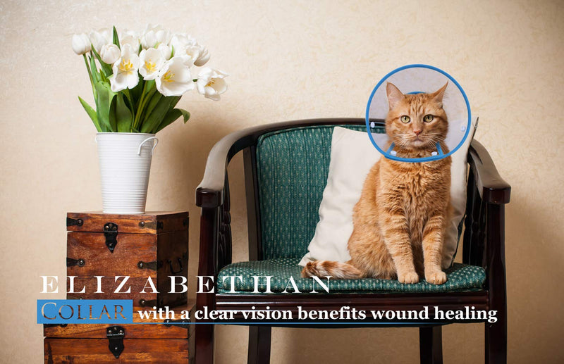 PETBABA Cat Cone Collar in Recovery, Clear Elizabethan Not Block Vision, Soft Padded E-Collar Protect Neck, Suitable Kitten Puppy Dog Pet in Surgery Remedy Grooming 5"-6" Blue - BeesActive Australia