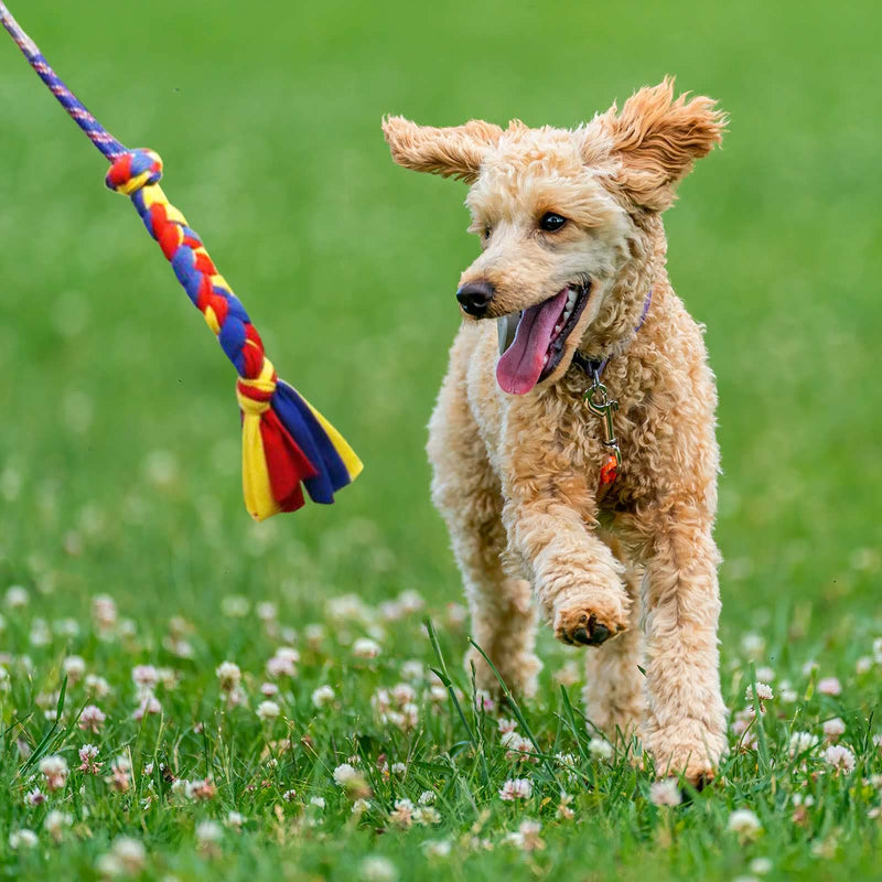 YINOR Flirt Pole for Dogs-Interactive Lures Durable Rope,Chase and Tug of war Puppy Toy，Outdoor Dog Agility Training Equipment Plush，Teaser Chew Pet Kits for Small Medium Dogs - BeesActive Australia